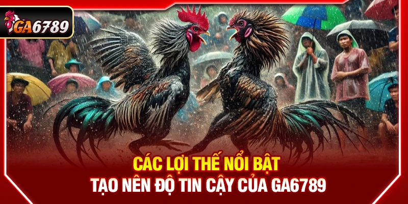 Ga6789 - Link Đá Gà 6789 Trực Tiếp Chính Thức Mới Nhất 05/2026 12 Các lợi thế nổi bật tạo nên độ tin cậy của Ga6789