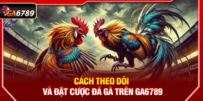 Ga6789 - Link Đá Gà 6789 Trực Tiếp Chính Thức Mới Nhất 05/2026 16 Cách theo dõi và đặt cược đá gà trên Ga6789