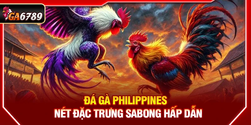 Ga6789 - Link Đá Gà 6789 Trực Tiếp Chính Thức Mới Nhất 05/2026 14 Đá gà Philippines - Nét đặc trưng Sabong hấp dẫn