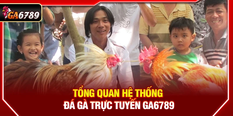 Ga6789 - Link Đá Gà 6789 Trực Tiếp Chính Thức Mới Nhất 05/2026 11 Tổng quan hệ thống đá gà trực tuyến Ga6789